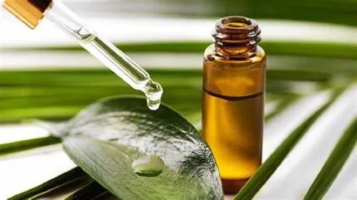 Tea Tree Oil for Hair