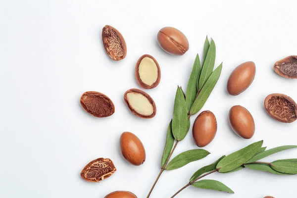 Argan Oil Shampoo