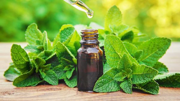 Peppermint Oil for Hair