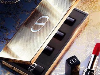 Dior Lipstick Clutch