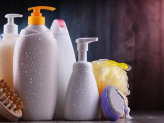 The Best Flea Shampoos for Dogs