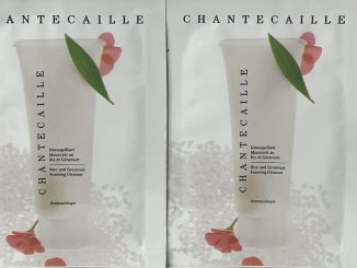 chantecaille foaming cleanser
