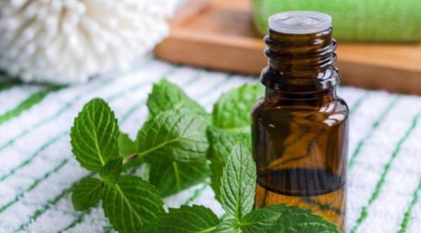 Spearmint Oil