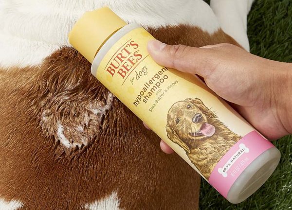 Burt's Bees Dog Shampoo