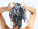 Cleansing Shampoo