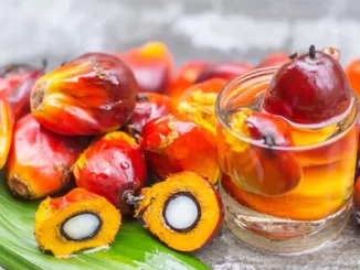 Batana Oil for Hair Growth