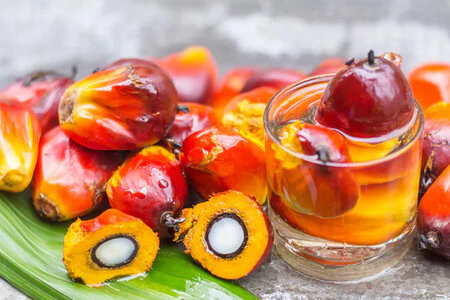 Batana Oil for Hair Growth