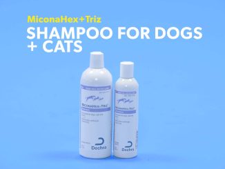 miconahex triz shampoo