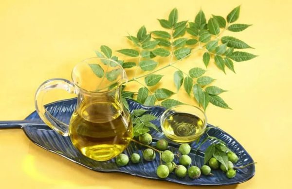 Neem Oil for Hair